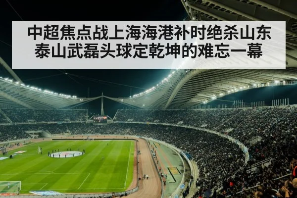 soccer stadium crowd